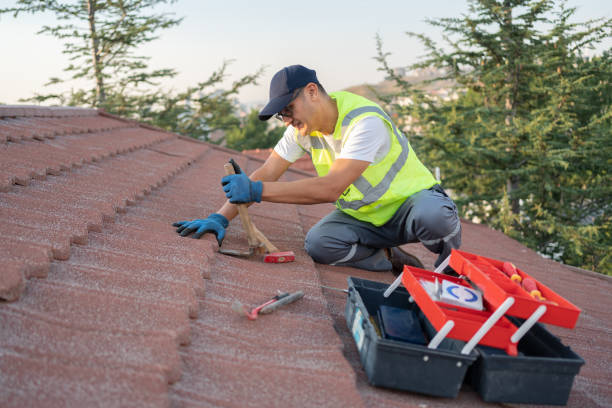 Roof Gutter Cleaning in Lawrenceville, GA